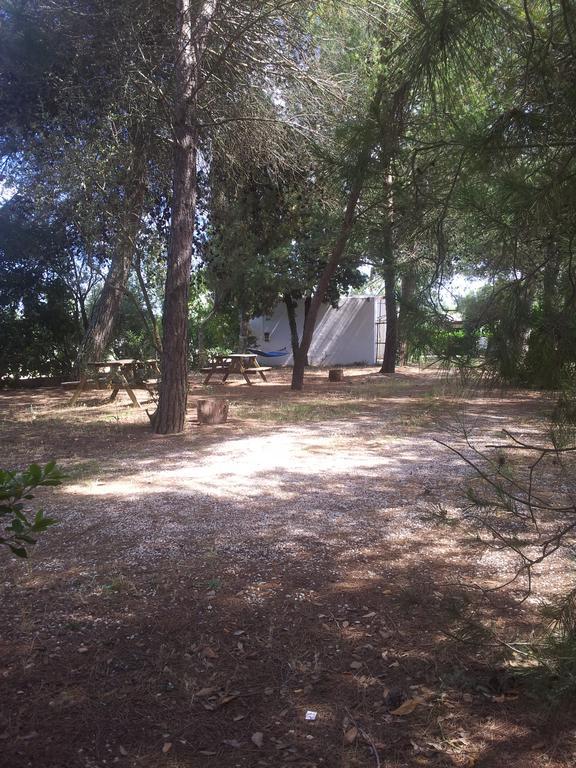 Agriturismo Vignavecchia Vignacastrisi Kültér fotó