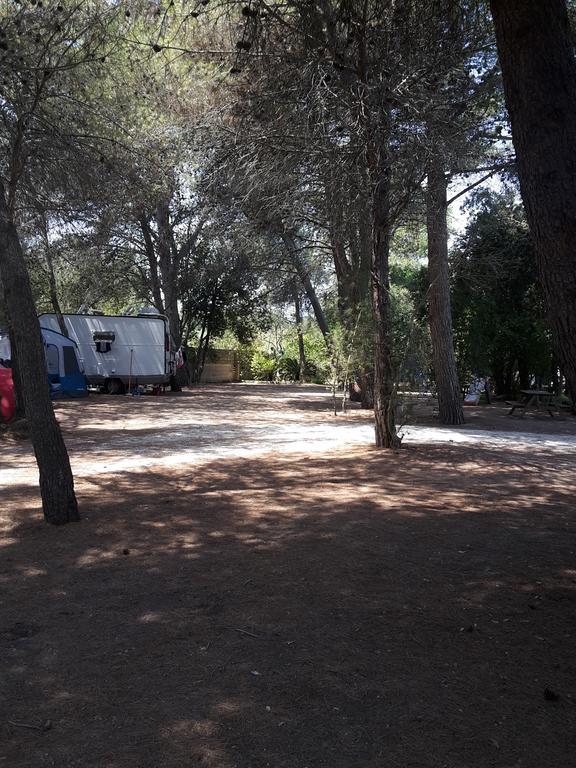 Agriturismo Vignavecchia Vignacastrisi Kültér fotó